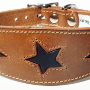 Tan Leather Whippet Collar Greyhound Collar With Brown Star Design Sighthound Dogs