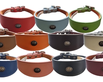 Leren halsband voor Whippet Greyhound Lurcher decoratief stud ontwerp DS 2