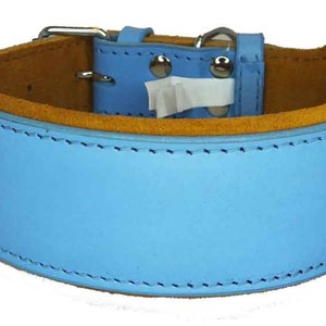May include: A light blue leather dog collar with brown suede lining and a silver buckle. The collar is stitched with white thread.