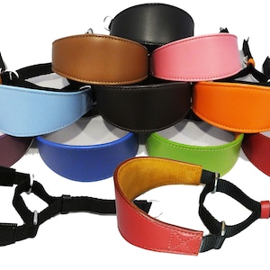 Italian Greyhound Whippet  Greyhound Afghan Saluki Leather Padded Dog Collar Martingale Plain