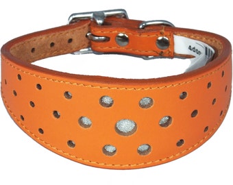 Orange Circle Glitter Design Leather Whippet Collar Greyhound Collar Sight hound Dogs Collar