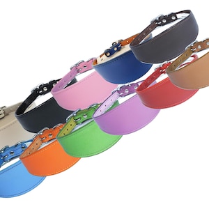 May include: A set of ten leather dog collars in various colours, including beige, black, pink, blue, green, orange, purple, red, brown, and navy blue. The collars are all made of leather and have a buckle closure.