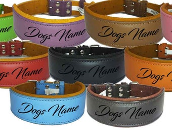 Personalised Leather Staffy Dog Collar Bull Terrier Bulldog Dogs Name Collar