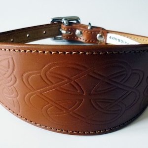 Tan Celtic Design Leather Dog Collars Whippet Collar Greyhound Dog Collar
