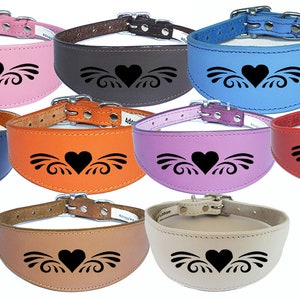 Italian Greyhound Whippet Collar Greyhound Leather Dog Collar Padded Backing Laser Engraved D4