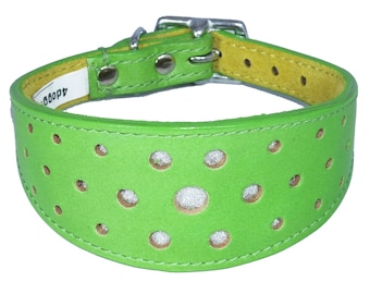 Green Circle Glitter Design Leather Whippet Collar Greyhound Collar Sight hound Dogs Collar