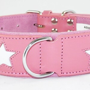 May include: Pink leather dog collar with white star cutouts and a silver D-ring. The collar has a suede lining.