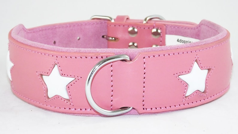 May include: Pink leather dog collar with white star cutouts and a silver D-ring. The collar has a suede lining.