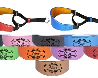 Italian Greyhound Whippet  Greyhound Afghan Saluki Leather Dog Collar Padded Suede Backing Martingale D22