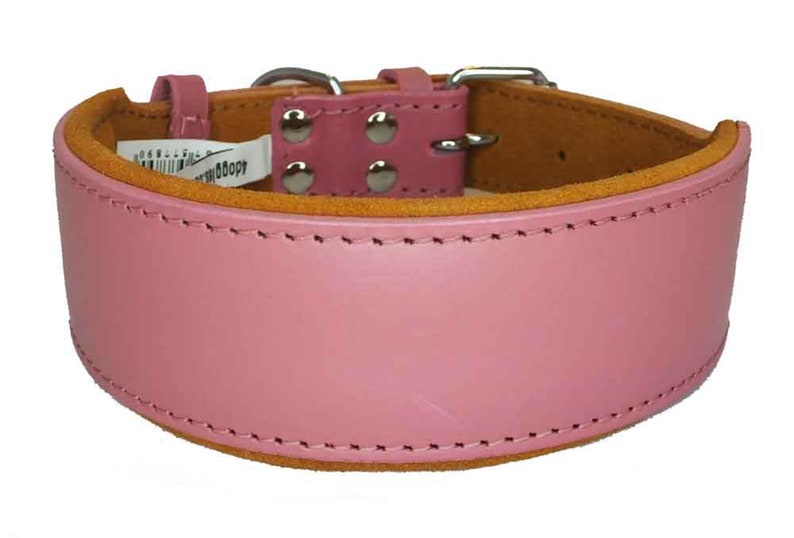 May include: A pink leather dog collar with a brown suede lining and silver buckle. The collar has a stitched edge and four silver rivets.