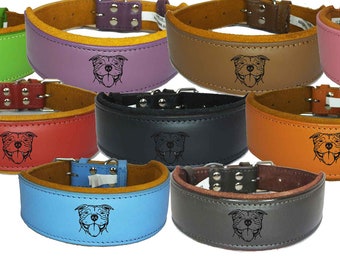Leather Padded collar Staffordshire Bull Terrier Dog Collar Padded Dog Collars Staffy Bulldog Dogs Face