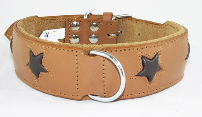 May include: A brown leather dog collar with a silver buckle and D-ring. The collar has five silver studs and four black star-shaped patches.