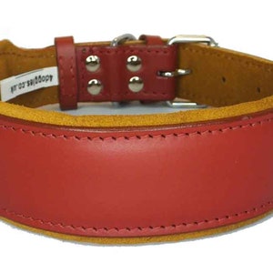 May include: Red leather dog collar with a brown suede lining and a silver buckle. The collar has the text "Addoggy.com" printed on the lining.