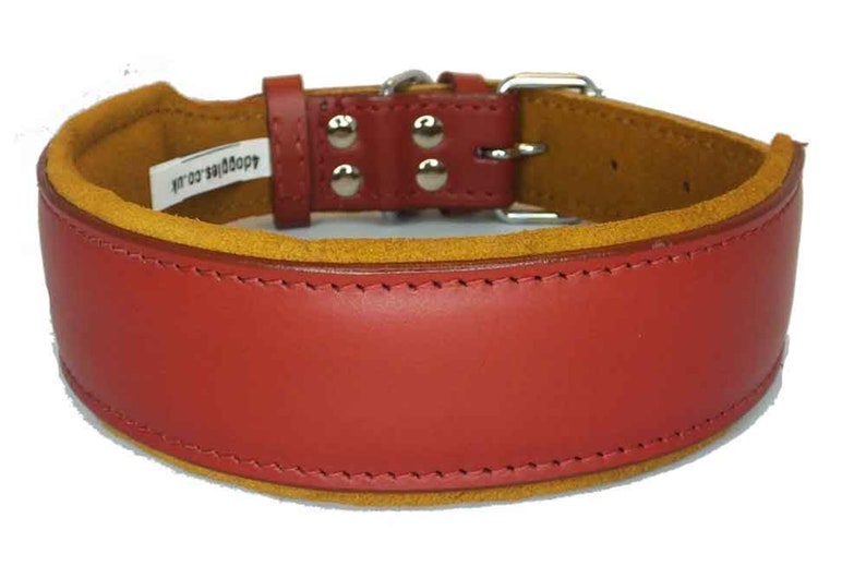May include: Red leather dog collar with a brown suede lining and a silver buckle. The collar has the text "Addoggy.com" printed on the lining.