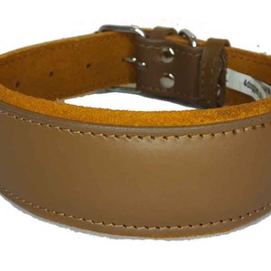 May include: A brown leather dog collar with a suede lining and a silver buckle.