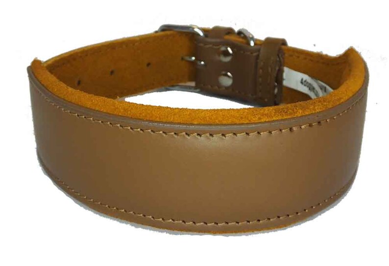 May include: A brown leather dog collar with a suede lining and a silver buckle.