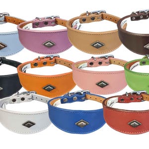 Leather Collar For Whippet Greyhound Lurcher Decorative Stud Design DS 1