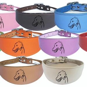 Italian Greyhound Whippet Collar Greyhound Sighthound Leather Padded Backing D43