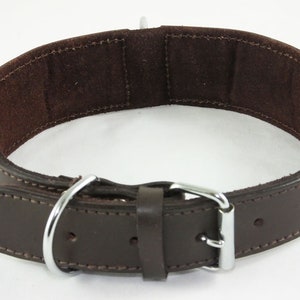 May include: A brown leather dog collar with a silver buckle and a D-ring. The collar is padded with a soft brown suede lining.