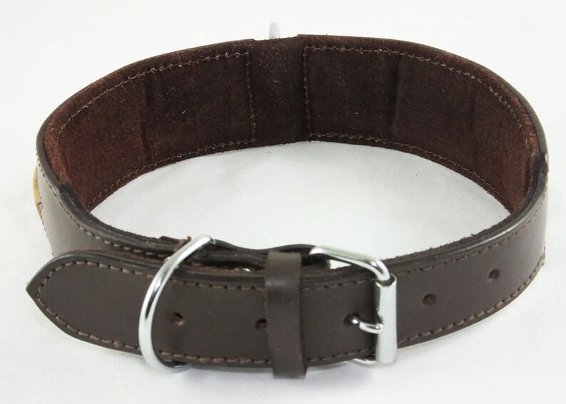 May include: A brown leather dog collar with a silver buckle and a D-ring. The collar is padded with a soft brown suede lining.