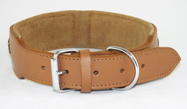 May include: A brown leather dog collar with a silver buckle and D-ring. The collar is padded with a soft brown suede lining.