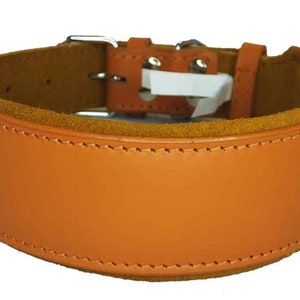 May include: A brown leather dog collar with a suede lining and a silver buckle.