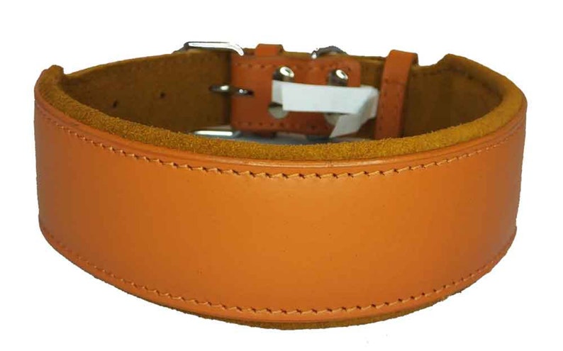May include: A brown leather dog collar with a suede lining and a silver buckle.