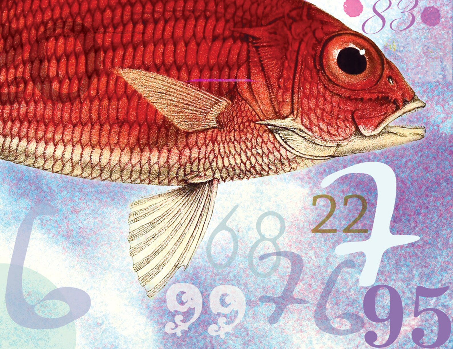 Tropical Fish number poster 1100 counting game for kids Etsy