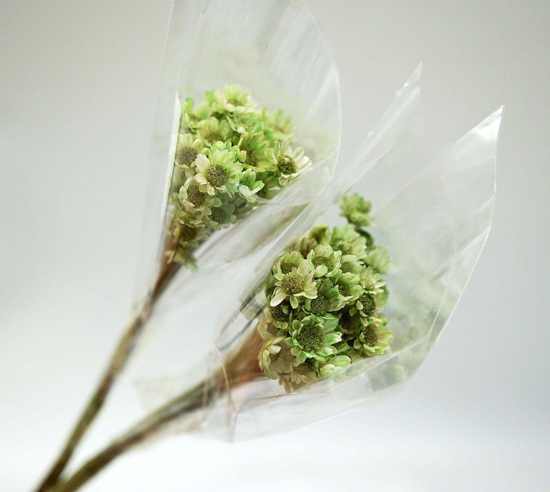 Flower Accessories Plastic Babys Breath Bouquet With Grass - Temu