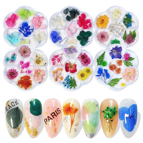 1 boîte de Nail Art Dry Flower Deco, Nail Art Décoration Dry flower Series, 6 styles de fleurs séchées, conception de fleurs à feuilles naturelles