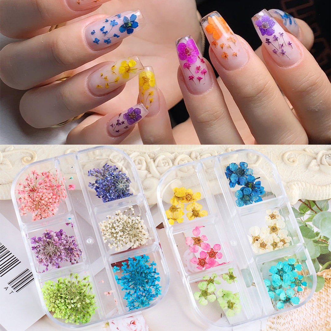 1 Box 10g Dried Flower Nail Decoration 12 Colors Natural Floral