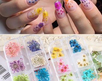 1 Box Nail Art Dry Flower Deco Nail Art Decoration Dry flower Series, 2 styles dried flowers (7004-162)