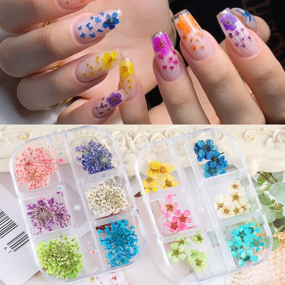 3D Mixed Dried Flowers Nail Art Charms Natural Floral Manicure Decoration  Tips