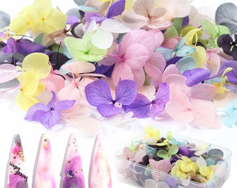 50 pcs/100 pcs Nail Art Dry Flower Deco Nail Art Decoration Dry flower Series,a set of dried flowers(7000-137)