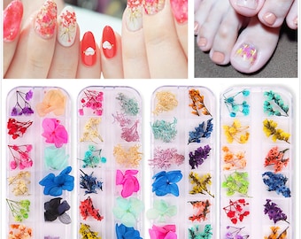 1 Box Nail Art Dry Flower Deco Nail Art Decoration Dry flower Series,24 pcs dried flowers for nail art(7010-1)