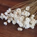 50 pcs Baby's breath , A small pack of dried flowers ,for Filler of the mini glass bottles,MINI Star daisy flowers(122-45)