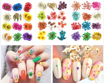 1 Caja Nail Art Dry Flower Deco Nail Art Decoration Serie de flores secas, 24 piezas flores secas (7000-64)