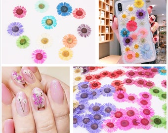 Nail Art Dried Flower Deco,Nail Art Decoration,Dried Echinacea,Dried Pressed Flowers,for Mobile phone shell,nail art flower(7009-21）