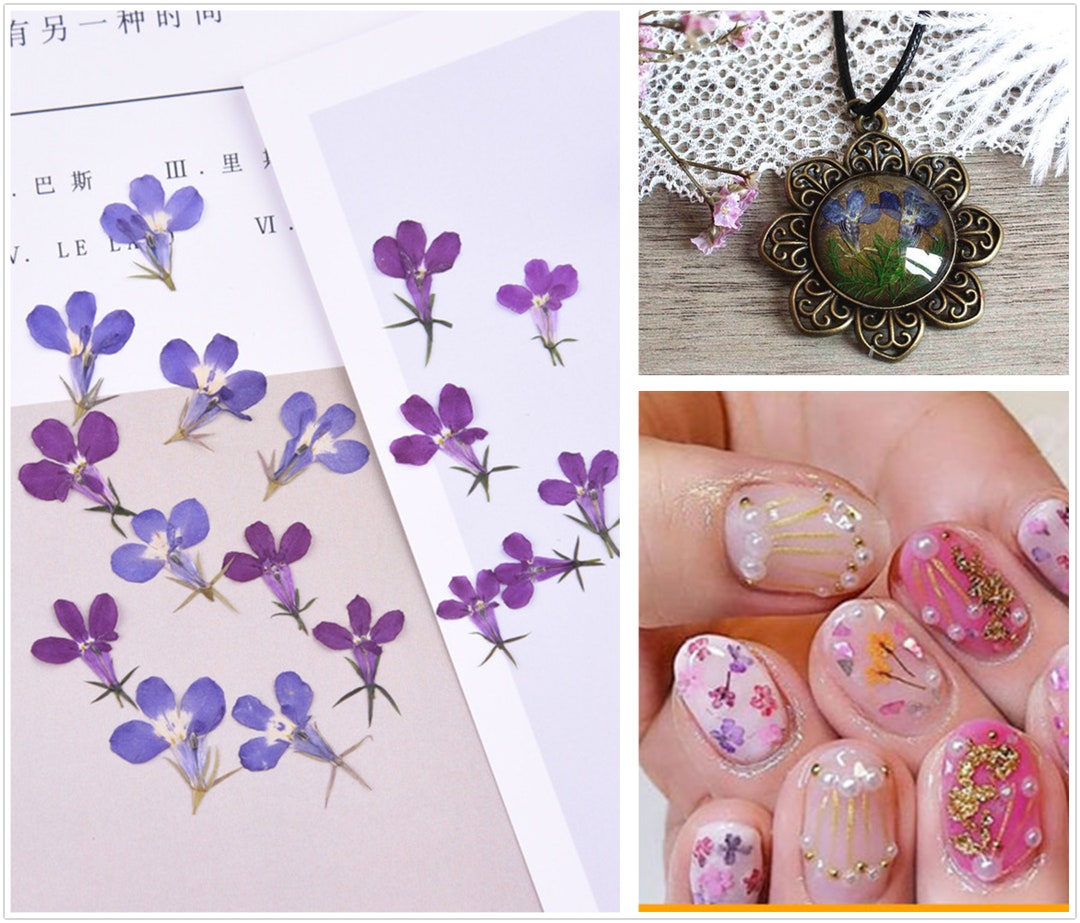 Nail Art Dried Flower Deconail Art Decorationdried Etsy