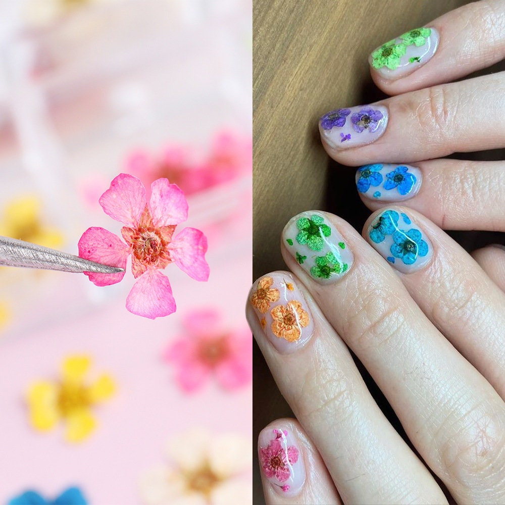 1 Box Floral Nail Design for Spring Summer Real Dried Flowers