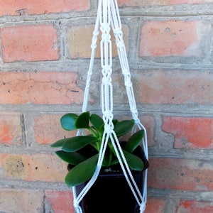 Può includere: Un portavasi in macramè bianco con una pianta grassa verde in un vaso nero. Il portavasi è appeso a un muro di mattoni.