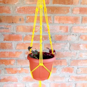 May include: A yellow macrame plant hanger with a terracotta pot and a green plant hanging from it against a brick wall.