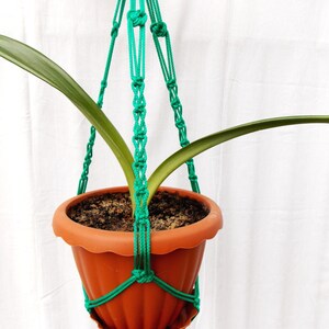 Pode incluir: Um suporte de planta de macram&ecirc; verde com um vaso de terracota marrom e uma planta verde dentro.