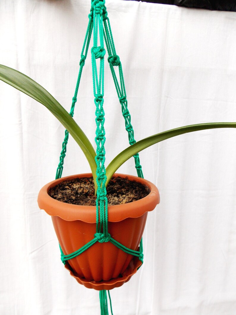 Pode incluir: Um suporte de planta de macram&ecirc; verde com um vaso de terracota marrom e uma planta verde dentro.