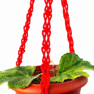 Puede incluir: Un macetero de macramé rojo con una pequeña planta verde en una maceta de terracota.
