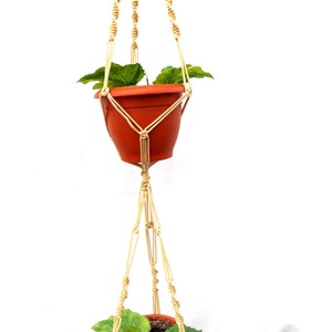 May include: A macrame plant hanger with two terracotta pots, each holding a green leafy plant. The beige macrame has decorative knots and a woven design, creating a bohemian aesthetic. The plant hanger is suspended against a white background.