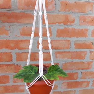 Puede incluir: Un macetero de macramé blanco con una maceta de terracota y una planta verde de hojas colgando de una pared de ladrillo.