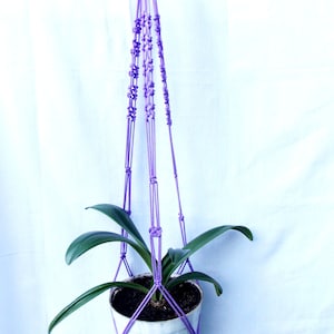 May include: A purple macrame plant hanger with a white pot and green plant hanging from it.
