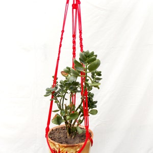 May include: A red macrame plant hanger with a green plant in a brown and yellow ceramic pot with a floral design.