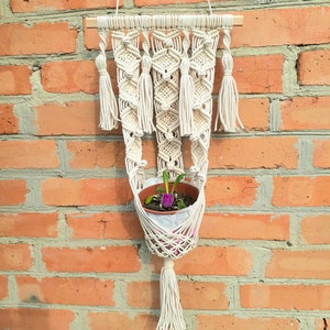 May include: A macrame plant hanger with a white cotton cord and wooden dowel. The hanger is holding a small terracotta pot with a purple flower and green leaves.